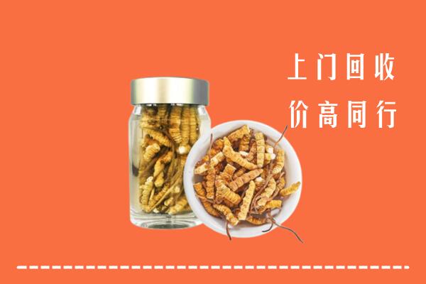 自贡市沿滩回收冬虫夏草
