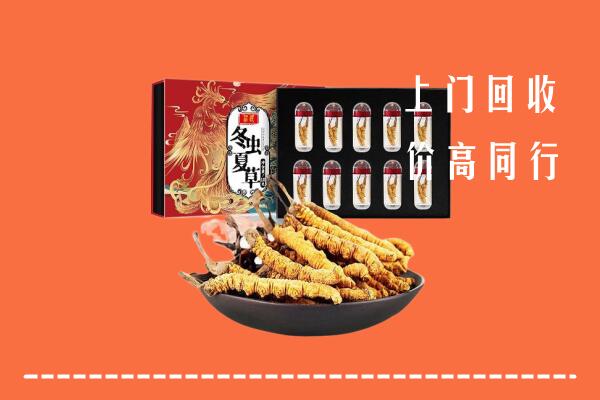 自贡市沿滩回收虫草
